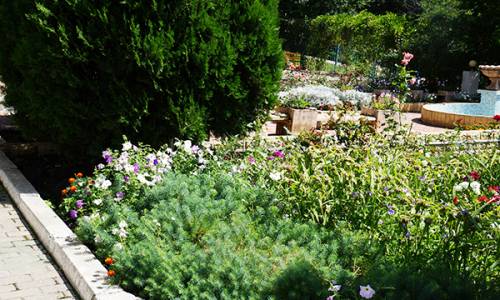 Санаторий Долина Нарзанов - Фото 13