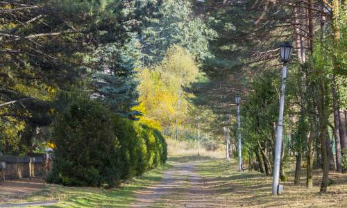 Санаторий Пикет - Фото 8