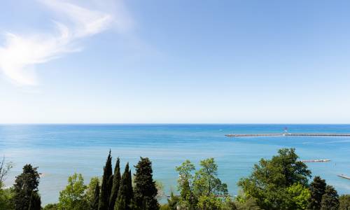 Отель Сити Парк Сочи (City Park Hotel Sochi) - Фото 50