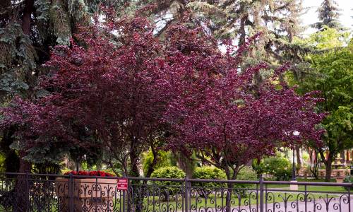 Санаторий Долина Нарзанов - Фото 5