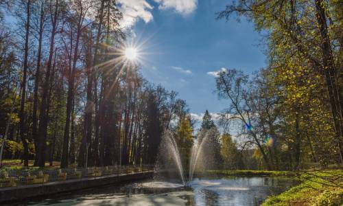 Санаторий Валуево Москва и Подмосковье - Фото 17. Территория
