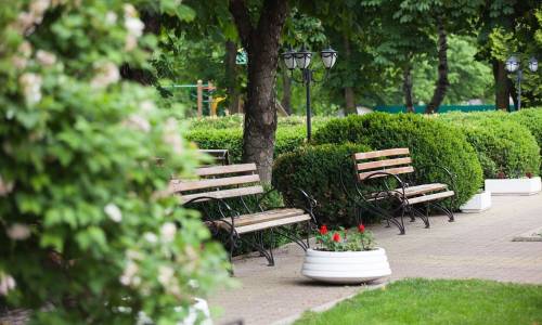 Санаторий Нива