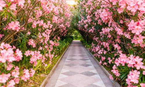 Санаторий Южное Взморье - Фото 11