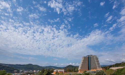 Оздоровительный комплекс Дагомыс - Фото 8