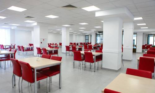 Санаторий Адлеркурорт Дельфин - Фото 55