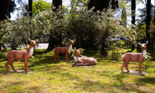 Санаторий Беларусь - Фото 49