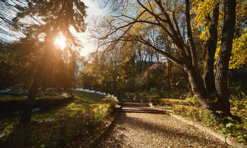 Санаторий Родник - Фото 19