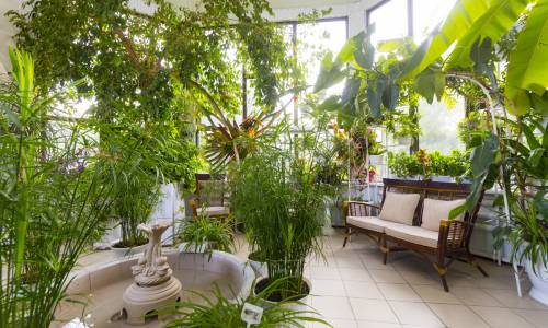 Санаторий Родник