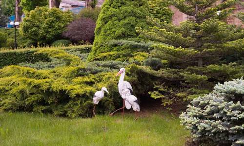Санаторий Долина Нарзанов