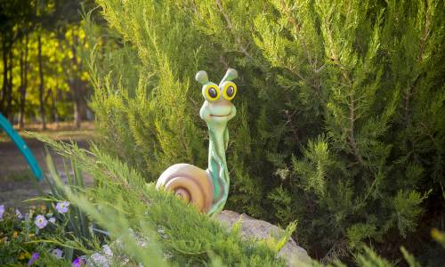 Санаторий Дубрава