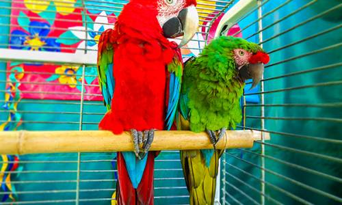 Санаторий Октябрьский «РЖД-ЗДОРОВЬЕ» - Фото 58