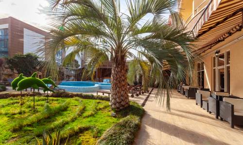 Отель Грейс Арли (Grace Arli)