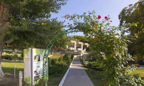 Санаторий Дубрава