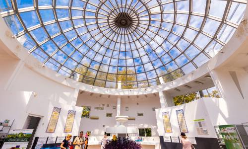 Санаторий Адлеркурорт Дельфин