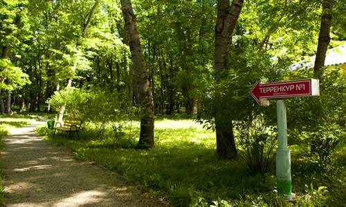 Санаторий Лесной