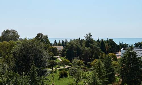 Отель Грейс Арли (Grace Arli) - Фото 77