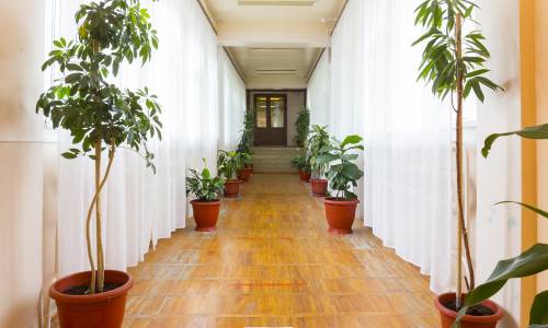 Санаторий Целебный Ключ