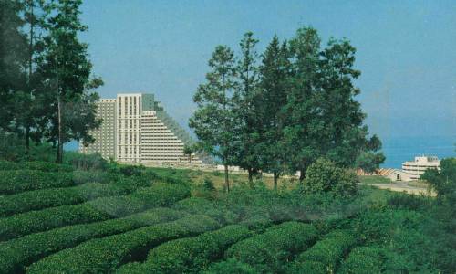 Оздоровительный комплекс Дагомыс - Фото 9