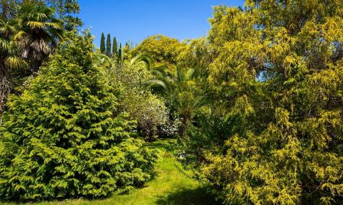 Санаторий Беларусь - Фото 35