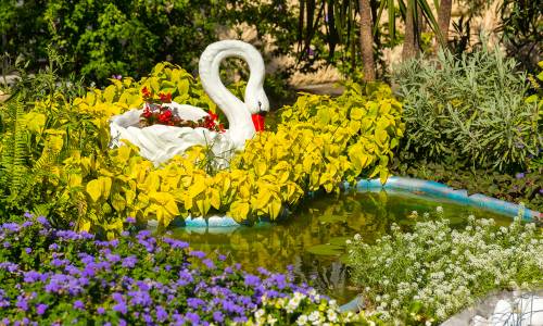 Санаторий Адлеркурорт Дельфин