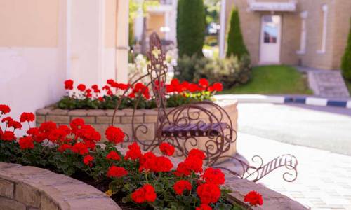 Санаторий Долина Нарзанов