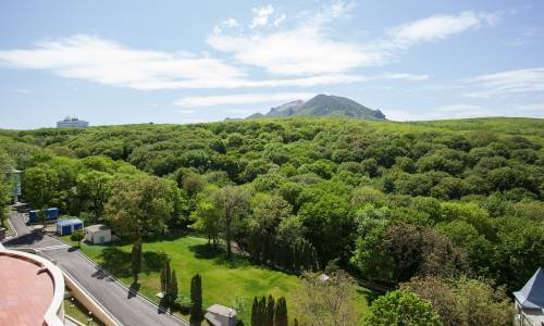 Санаторий Дубовая Роща