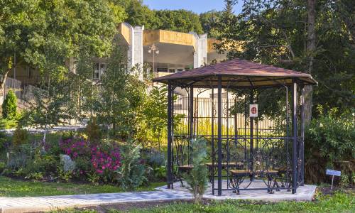 Санаторий Дубрава