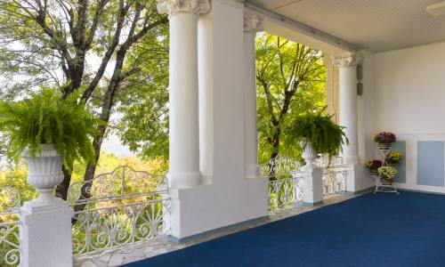 Санаторий Родник