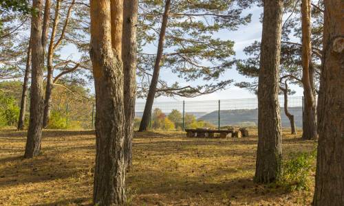 Санаторий Пикет - Фото 7