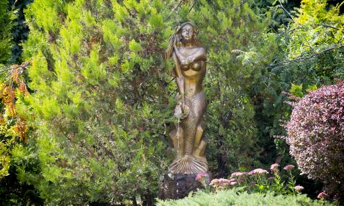 Санаторий Анджиевского - Фото 11