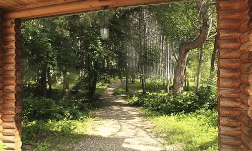 Санаторий Лесной