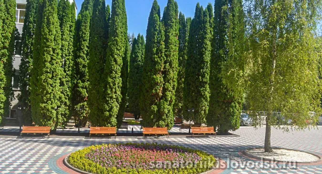Отдых в санатории Родник